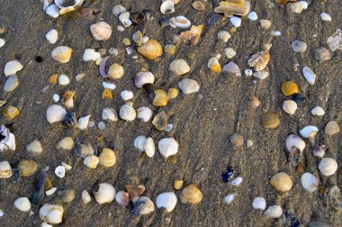 kabukları Beach