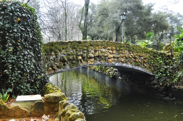 Genel park, köprü - yapı inşa