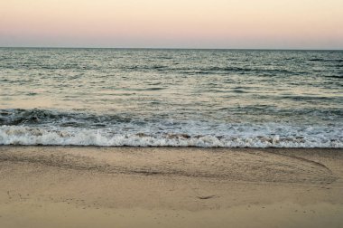 plaj ve tropikal deniz