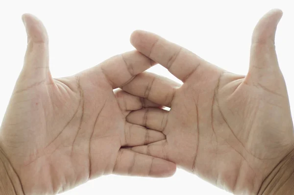 Hände, die auf weiß halten — Stockfoto
