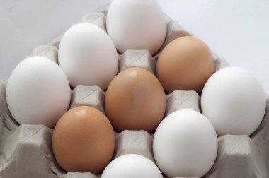 Taze çiftlik EEG'ler yakın çekim