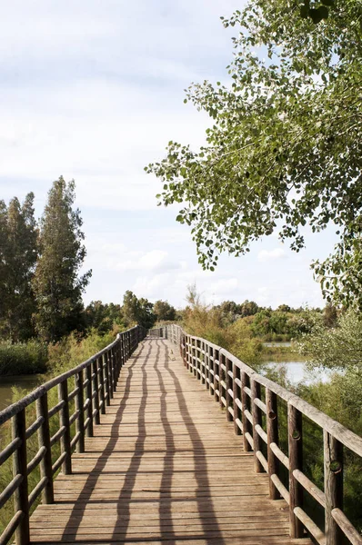 Ponte di legno in un parco — Foto Stock