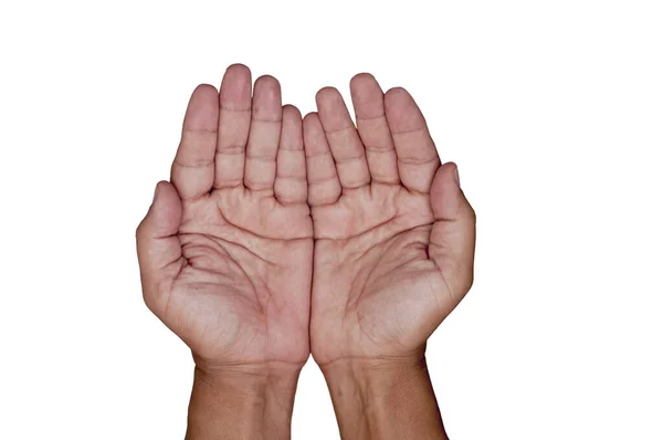 Hands cupped — Stock Photo, Image