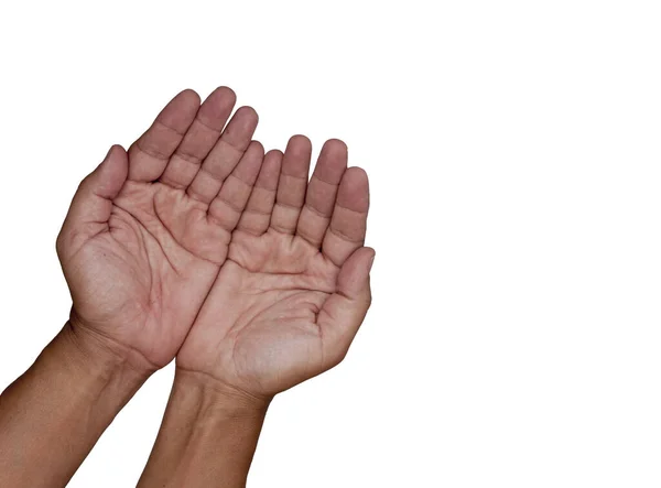 Hands cupped together — Stock Photo, Image