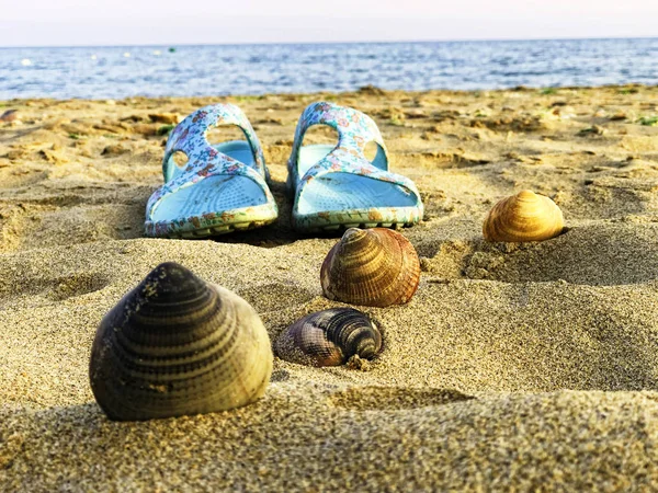 Shell and flip flop — Stock Photo, Image