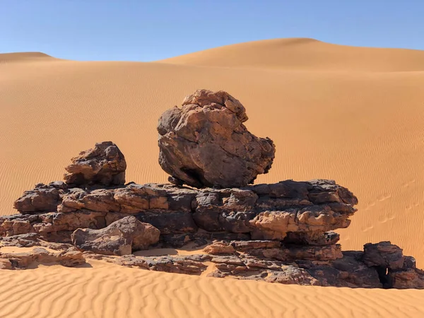 Paysage Dunaire Dans Sahara Occidental — Photo