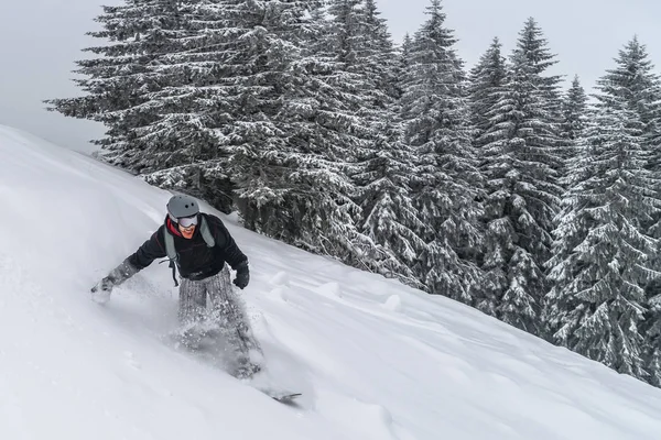 Snowboarder monta a partir de neve em pó colina. Mountain Freeride snowboard. Cárpatos de Inverno — Fotografia de Stock