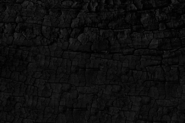 Textura dřevěného uhlí. Spálený strom. Pozadí černého uhlí — Stock fotografie