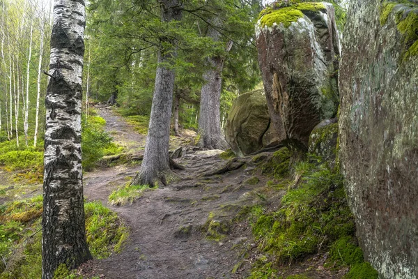 Sentier de randonnée. Sentier de montagne en forêt entre arbres et rochers — Photo