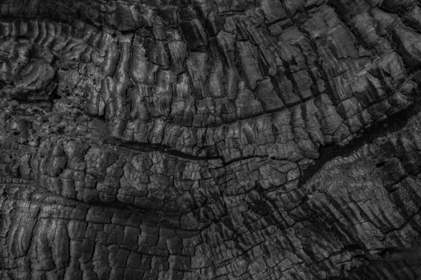 Текстура деревного вугілля. Спалене дерево. фон чорного вугілля — стокове фото
