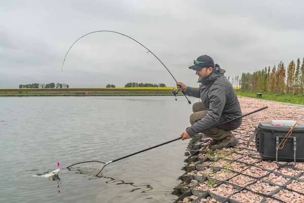 Gebied forel vissen. Visser met Spinning Rod in actie spelen vis. — Stockfoto