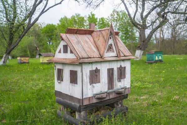 Aveari Decorativi Legno Apiario Alveare Nel Giardino Verde Del Villaggio — Foto Stock