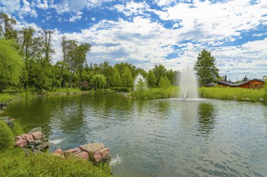 Bahçe düzenleme. Mezhgorye Malikanesi, Ukrayna 'daki yeşil parktaki çeşmeli güzel bir gölet.