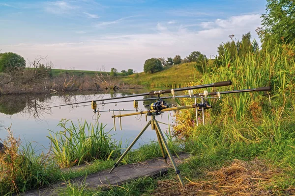 Karper Visconcept Staafjes Staafpeul Aan Groene Kust Van Riviertje — Stockfoto