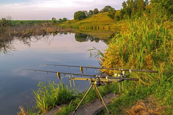 Концепція Риболовлі Коропа Стрижні Стрижні Зеленому Узбережжі Невеликої Річки — стокове фото