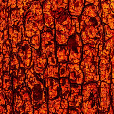 Yanan ağacın sıcak portakallı kömür dokusu. Renkli arkaplanı ateşle