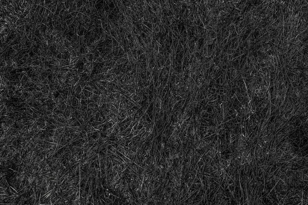 Textur Verbrannte Gras Schwarzer Hintergrund Verbrannter Erde Nach Frühlingsbrand — Stockfoto