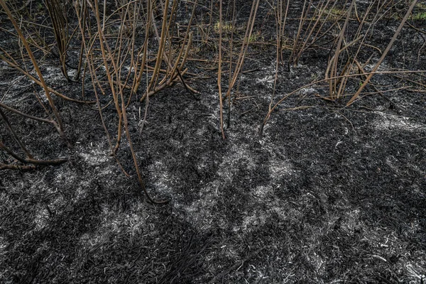 Burnt Grass Spring Fires Scorched Earth Field Arson Environmental Damage — Stock Photo, Image