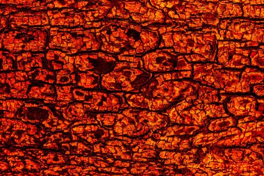 Yanan ağacın sıcak portakallı kömür dokusu. Renkli arkaplanı ateşle