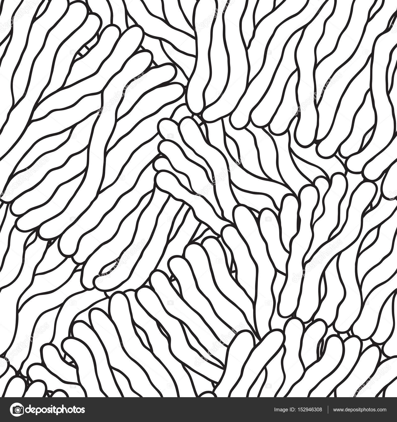 Modello senza cuciture per libro da colorare Bianco e nero senza cuciture di doodle — Vettoriali di karpenyuk