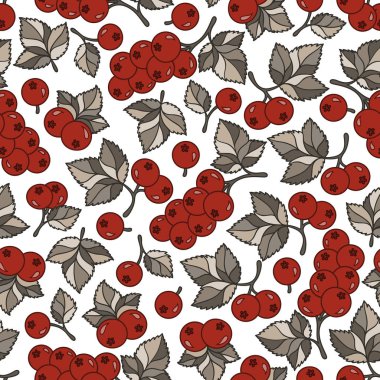 Siyah frenk üzümü. Vektör seamless modeli.