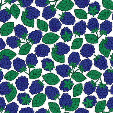 Blackberry seamless modeli