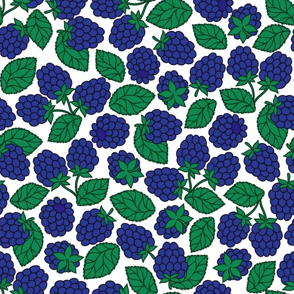 Blackberry seamless modeli