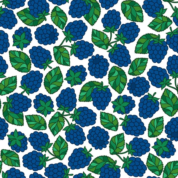 Blackberry seamless modeli