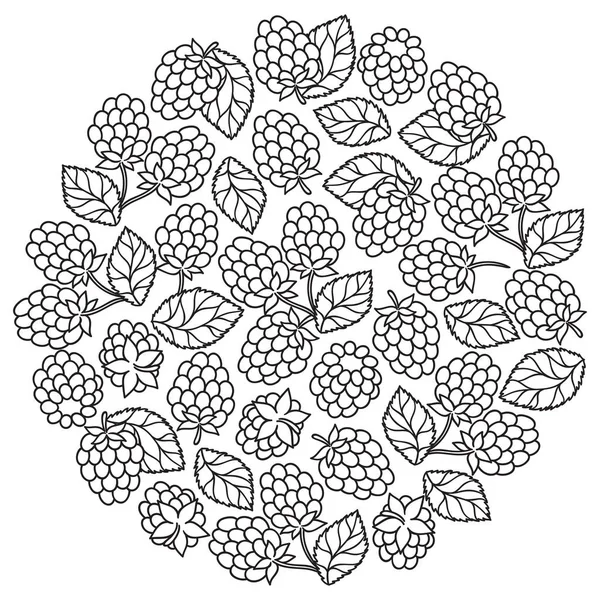 Mûre framboise avec pétale de feuilles pour livre à colorier — Image vectorielle