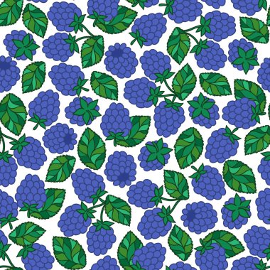 Blackberry seamless modeli