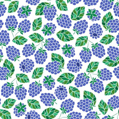 Blackberry seamless modeli