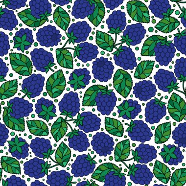 Blackberry seamless modeli