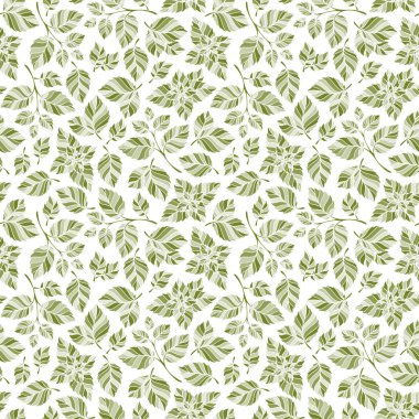 Elle çizilmiş vektör seamless modeli ile nane yaprakları