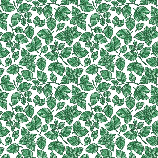 Modèle sans couture vectoriel dessiné à la main avec des feuilles de menthe — Image vectorielle