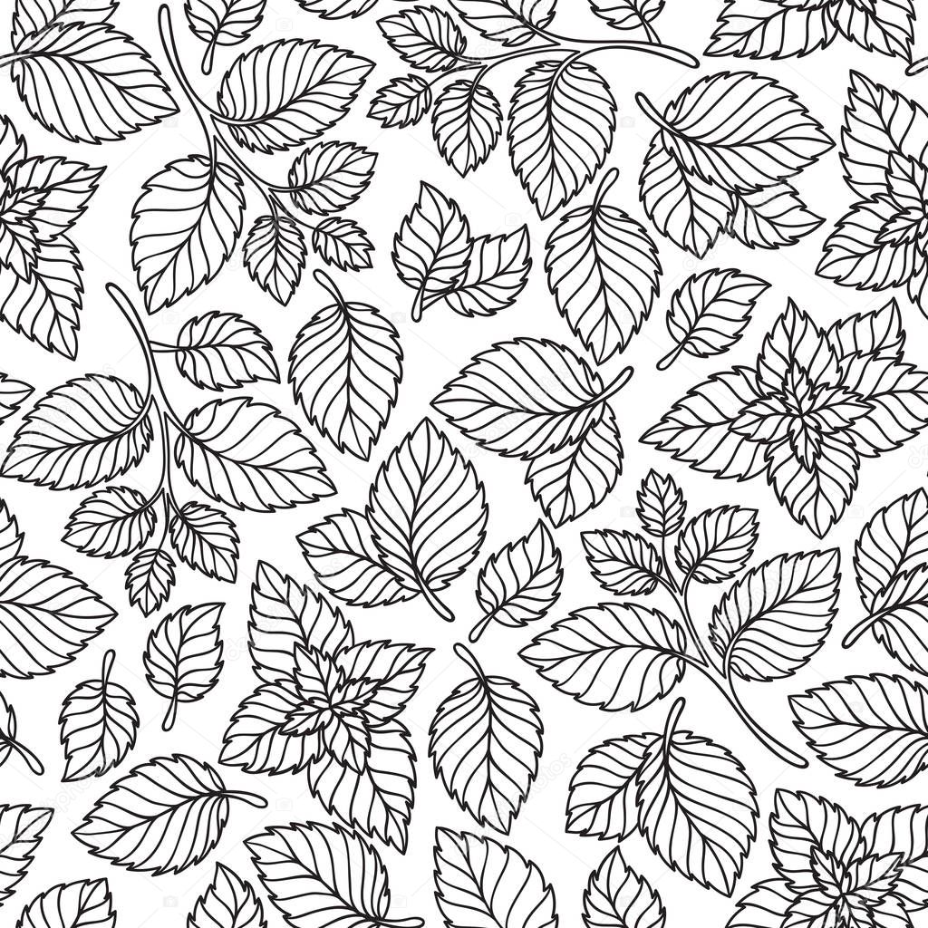 Vector seamless pattern  of mint leaves .