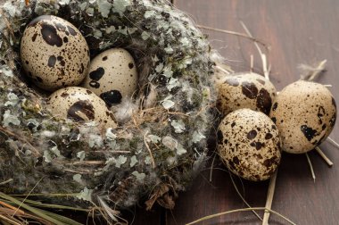 bıldırcın yumurtası eski ahşap arka plan yakın çekim üzerinde bir yuva