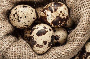 bıldırcın yumurtası çuvala içinde