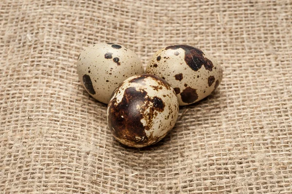 Перепелиные яйца на фоне текстуры мешковины — стоковое фото