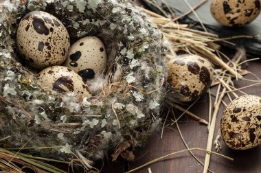 bıldırcın yumurtası eski ahşap arka plan yakın çekim üzerinde bir yuva