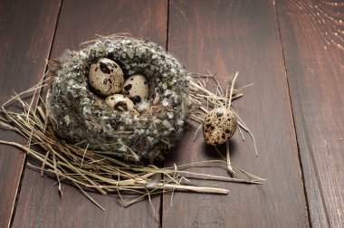 bıldırcın yumurtası eski ahşap arka plan üzerinde bir yuva 