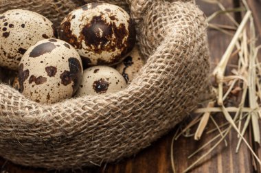 çuvala koyu ahşap arka plan üzerinde bıldırcın yumurtası