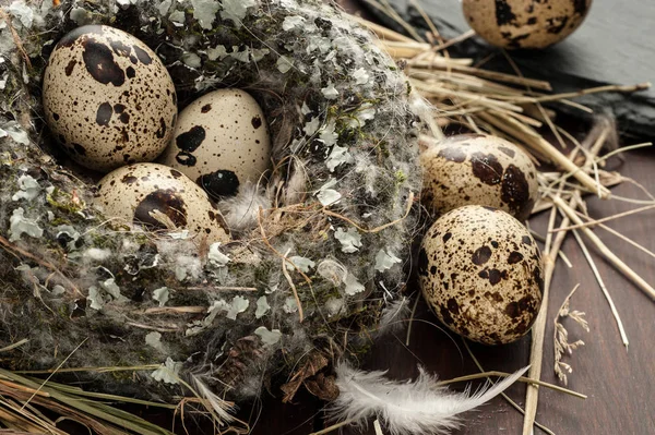 Quail eggs in a nest over old wooden background close-up — Stock Photo, Image