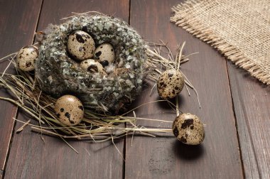bıldırcın yumurtası eski ahşap arka plan üzerinde bir yuva 
