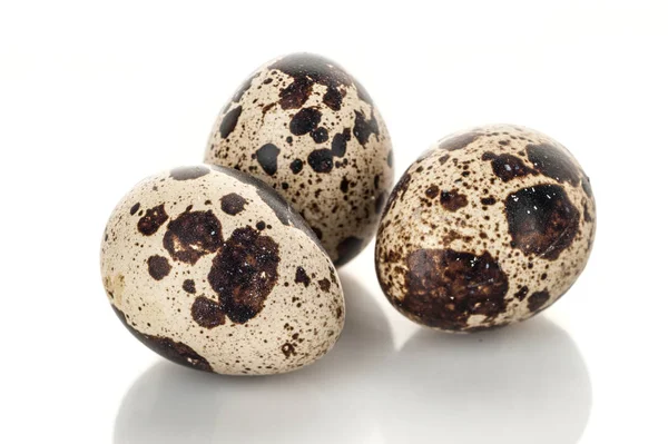 Αυγά ορτυκιού απομονωμένα σε λευκό φόντο — Φωτογραφία Αρχείου