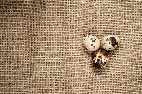 Quail eggs on burlap texture background — Stock Photo, Image