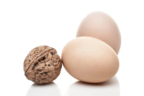 Ovos de galinha e uma porca de pé isolada sobre fundo branco — Fotografia de Stock