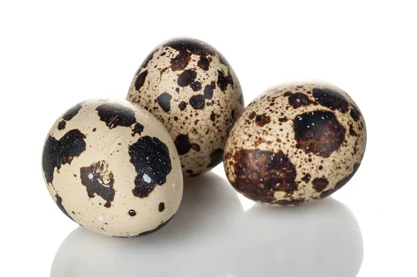 Ovos de codorna isolados sobre fundo branco — Fotografia de Stock