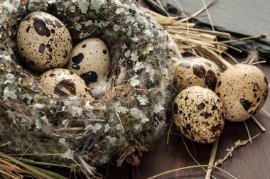 bıldırcın yumurtası eski ahşap arka plan yakın çekim üzerinde bir yuva