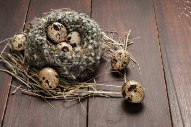 bıldırcın yumurtası eski ahşap arka plan üzerinde bir yuva 