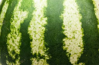 Karpuz cilt doku arka plan